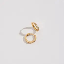 Hoop Earrings