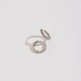 Hoop Earrings