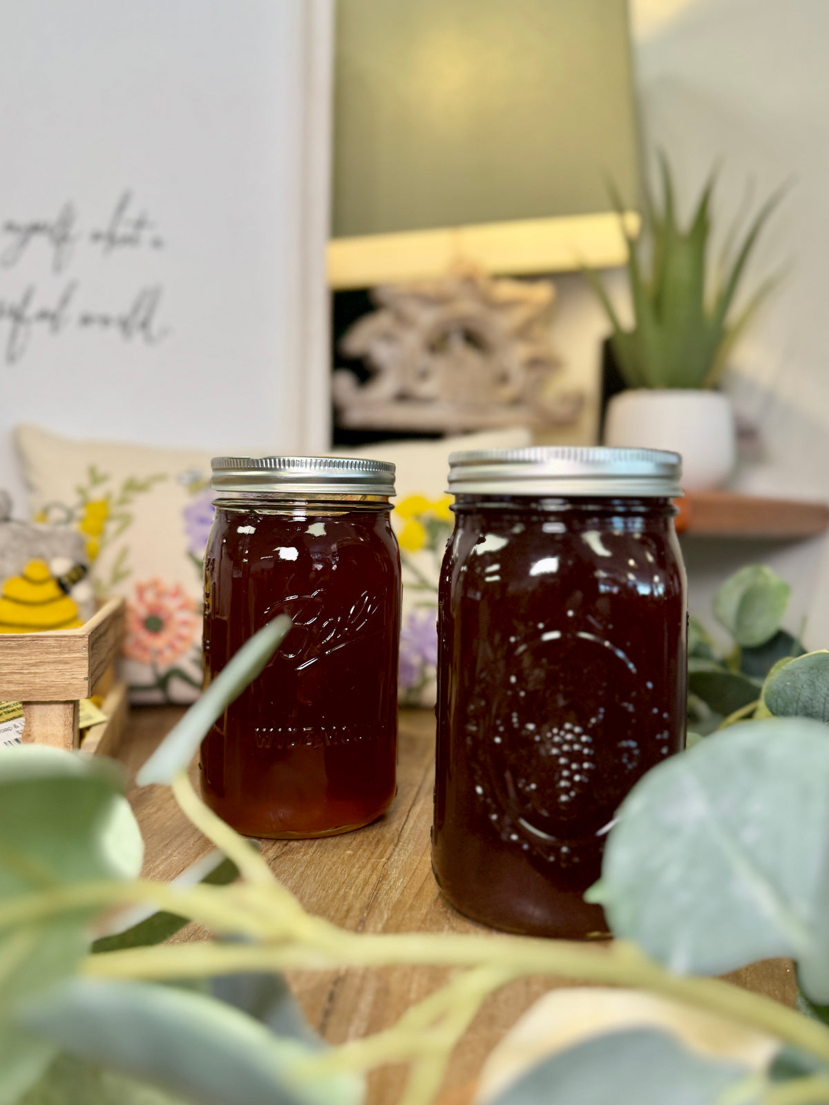 Hummingbird Honey