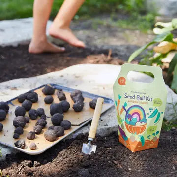 Wildflower DIY Seed Ball Kit