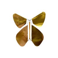 Graduation Day Card w/ Magic Butterfly