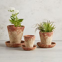Brick Red Pot - Medium