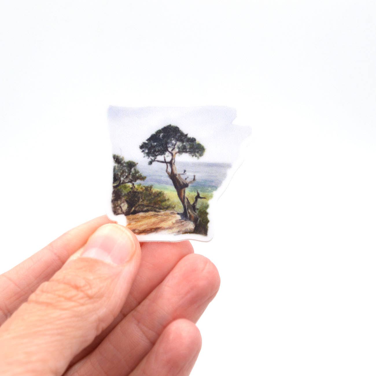 Arkansas State Vinyl Adventure Sticker - mini