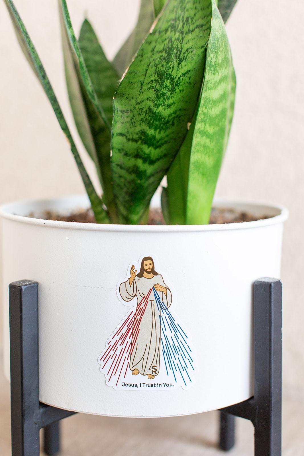 Divine Mercy Sticker