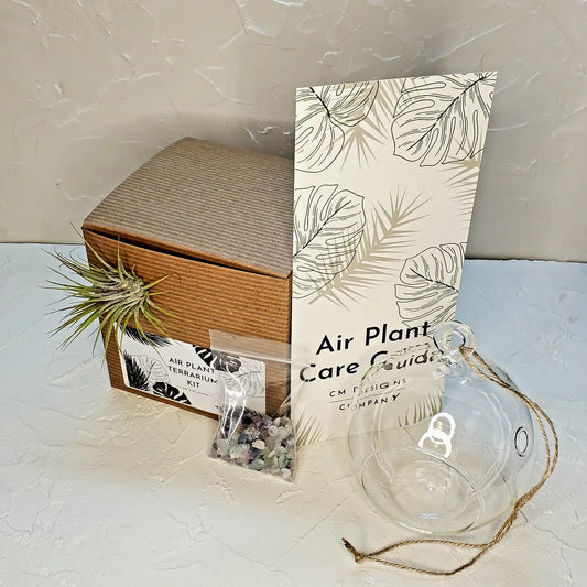 Air Plant Terrarium Kit