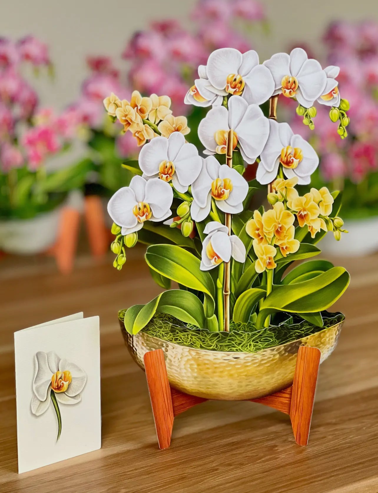 FreshCut Greeting Cards