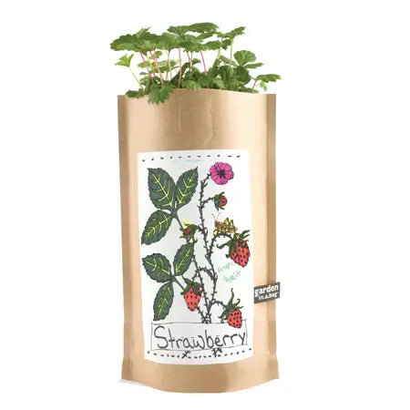 Kids Garden in A Bag | Strawberry