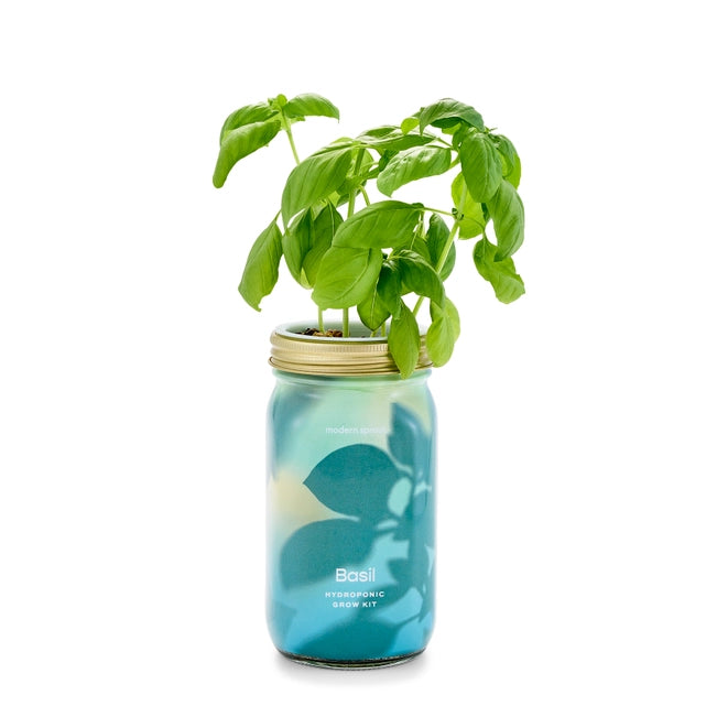 Herb Garden Jar