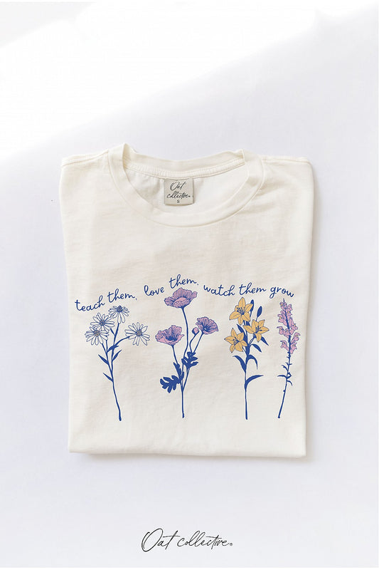 Love them, Teach them- Graphic Tee