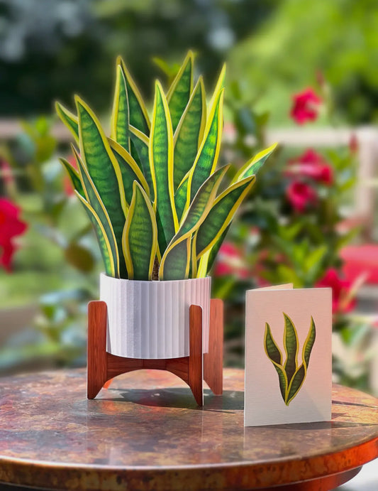 FreshCut Greeting Cards