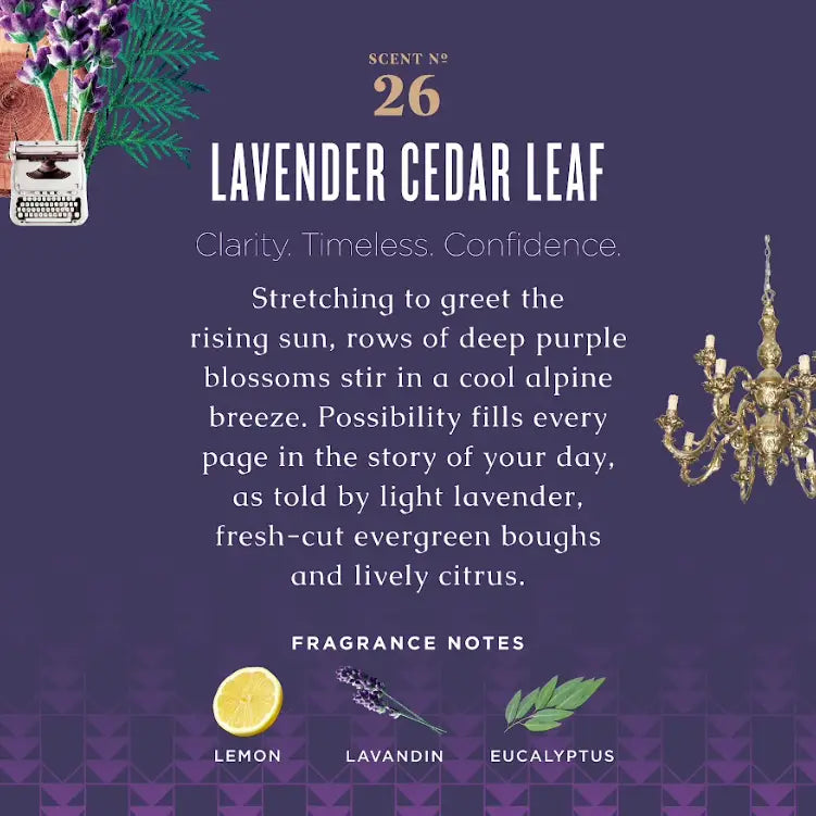 Lavender Cedar Leaf Countertop Spray with Vegetable Protein