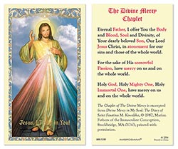 Divine Mercy Laminated Holy Card