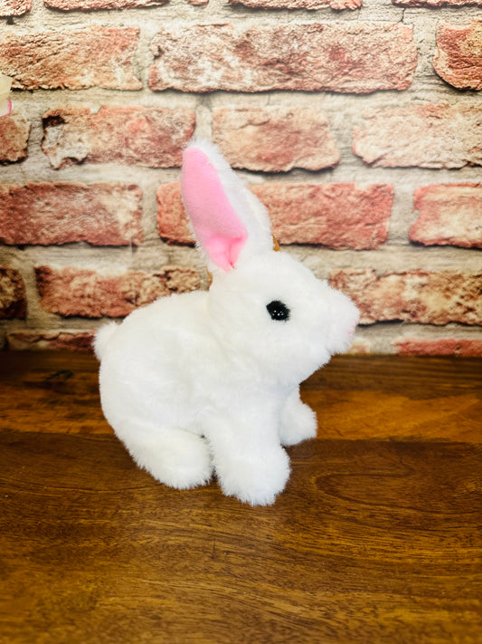 Hoppin’ Bunny