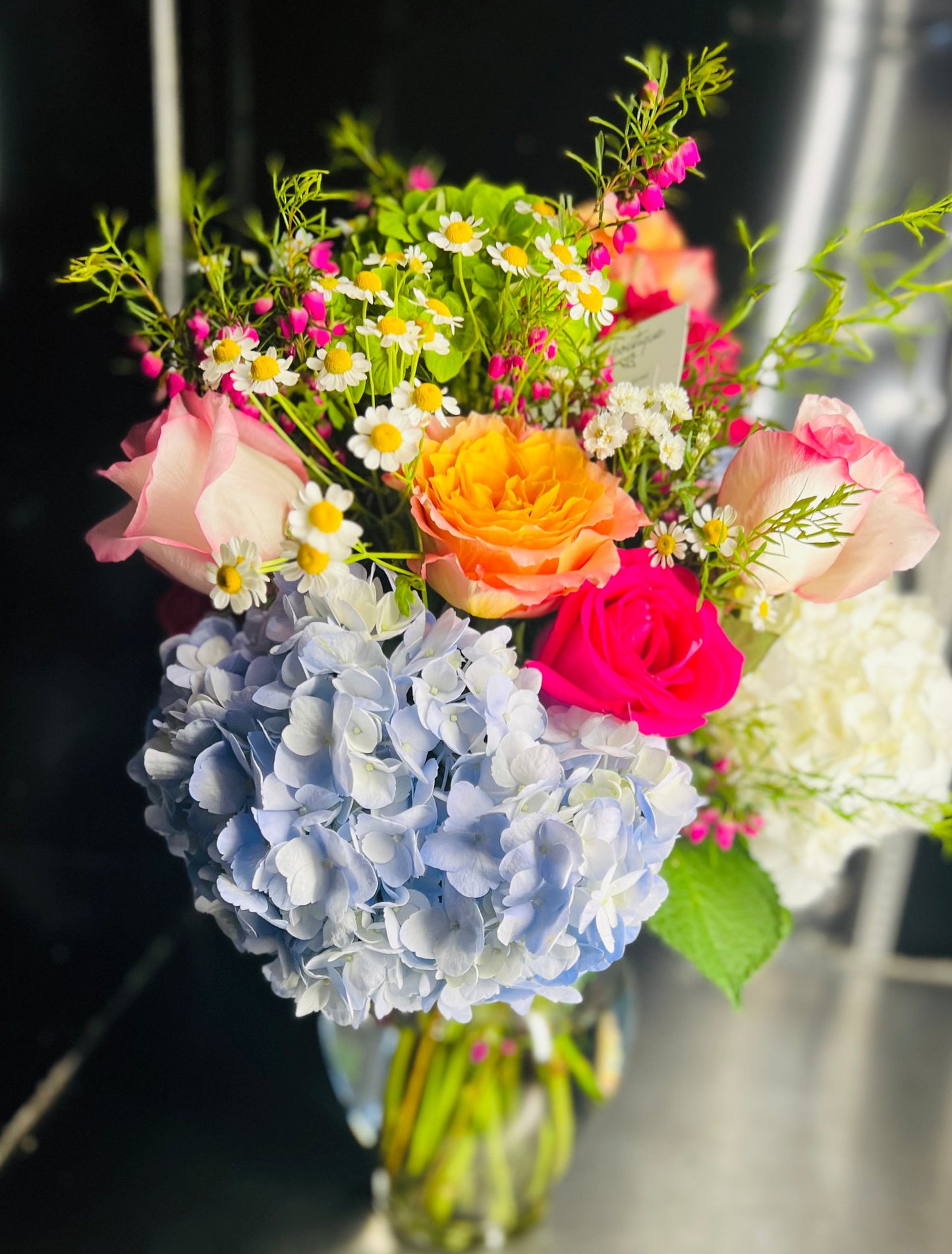 Belle's Blooms