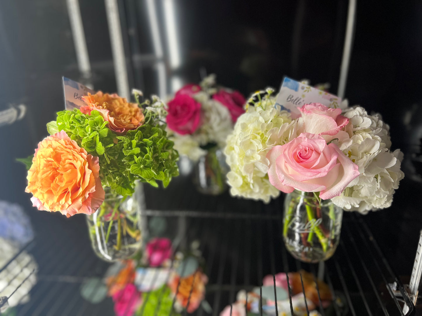 Belle's Blooms