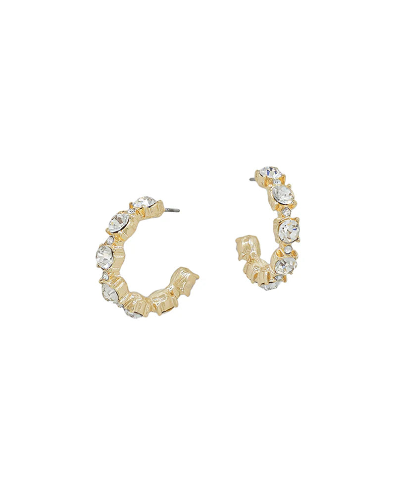 Crystal Hoop Earring