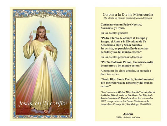 Divine Mercy Spanish Laminated Holy Card