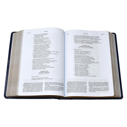 Blue Dura Lux Biblia de America