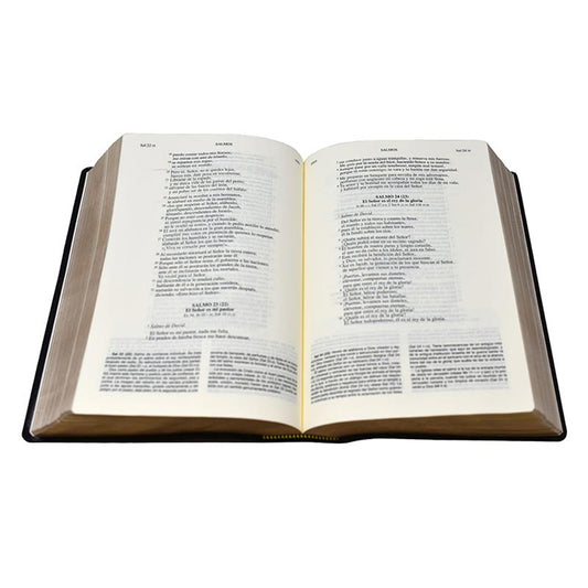 Black Imitation Leather Biblia de America