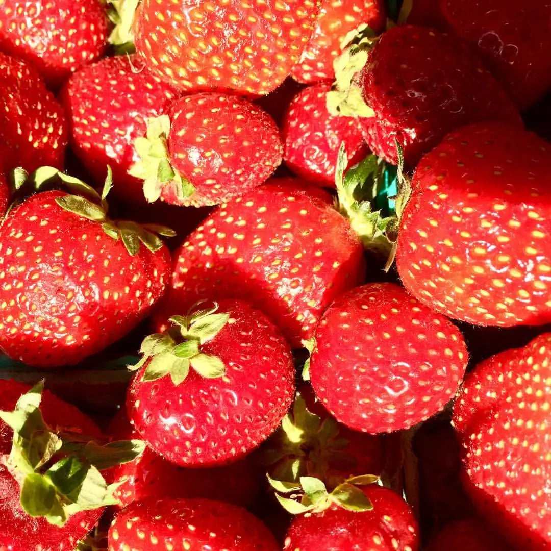 Kids Garden in A Bag | Strawberry