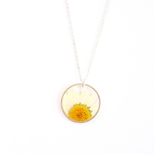 Daisy Silver Circle Pressed Flower Necklace