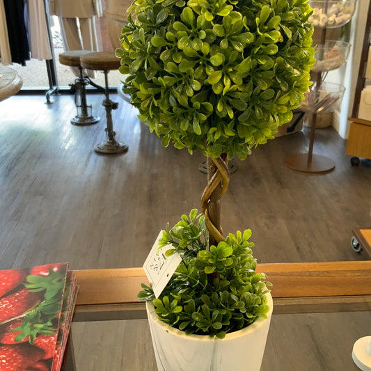 Topiary Ball In Planter