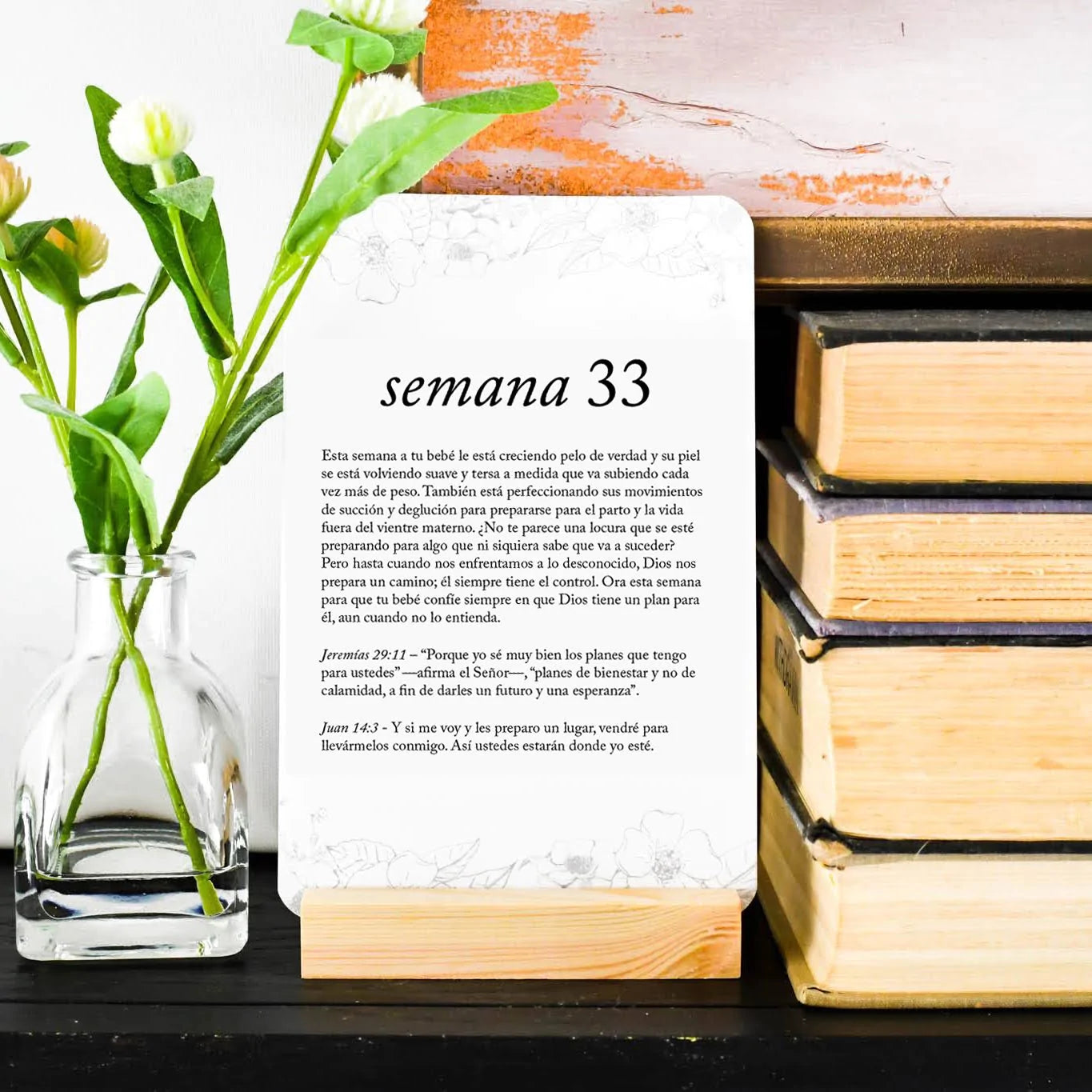 SPANISH PREGNANCY PRAYER CARDS