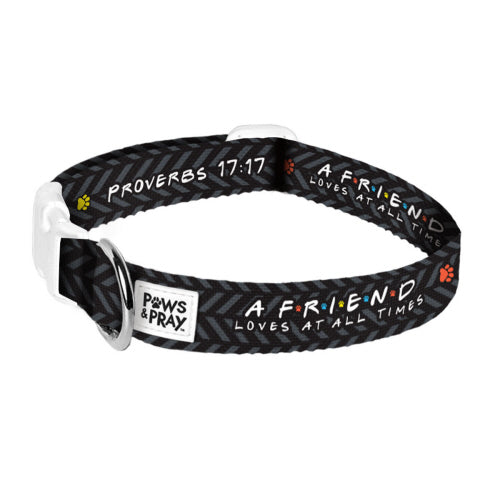 Small Pet Collar
